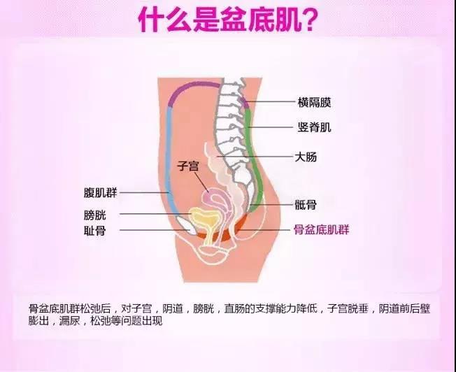 盆底康复，vns86com威尼斯城康复科送给您的女神节礼物