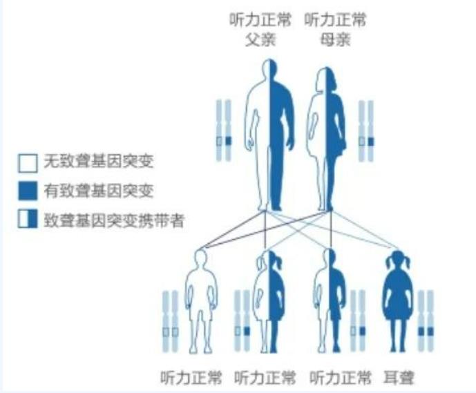 常见的耳聋致病基因及其遗传模式有哪些？市中心医院为您解答！